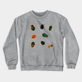 Vintage Beetle Bugs - 8 Beetles Crewneck Sweatshirt